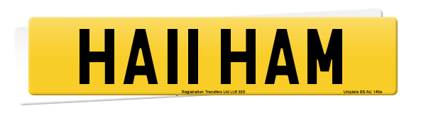 Registration number HA11 HAM
